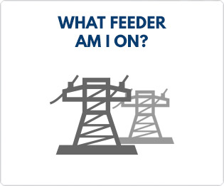 What feeder am I on?