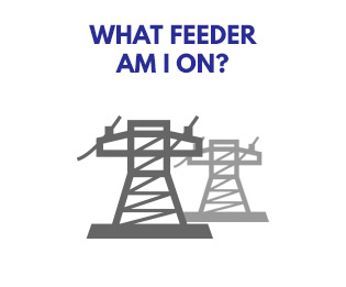 feeder